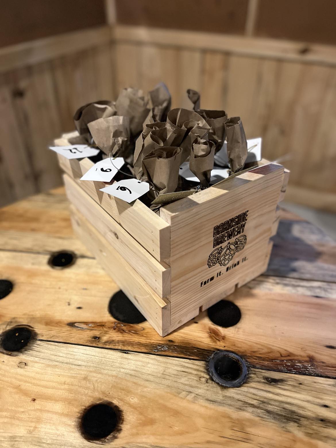 12-pack Advent Calendar / Calendrier de l'Avent